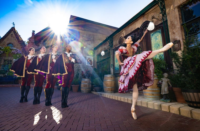 More Info for Don Quixote