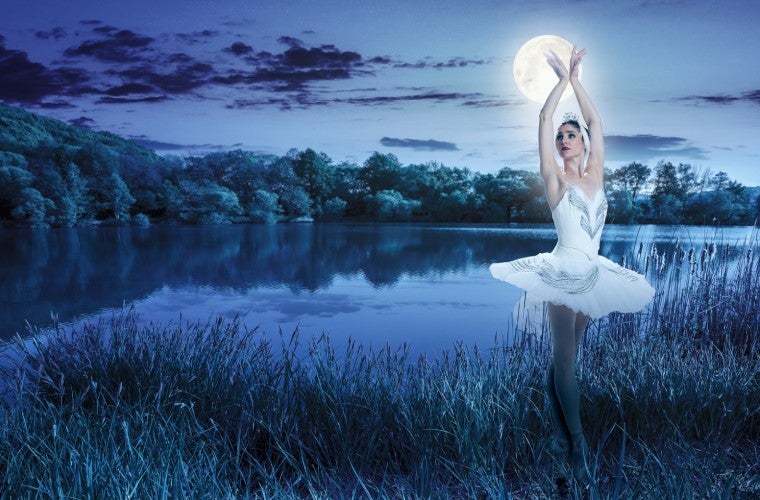 More Info for Swan Lake